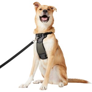 Frisco Padded Nylon No Pull Dog Harness, Black, 32 to 50-in chest