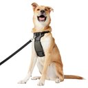 Frisco Padded Nylon No Pull Dog Harness, Black, XL- Girth 32 to 50-in
