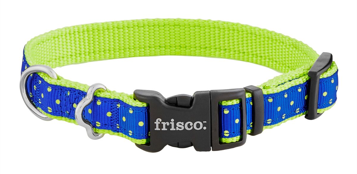 FRISCO Patterned Nylon Dog Collar, Lime Polka Dot, Small: 10 to 14-in neck,  5/8-in wide 