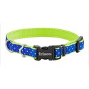 Frisco Patterned Nylon Dog Collar, Lime Polka Dot, Small: 10 to 14-in neck, 5/8-in wide