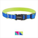 Frisco Patterned Nylon Dog Collar, Lime Polka Dot, Large: 18 to 26-in neck, 1-in wide