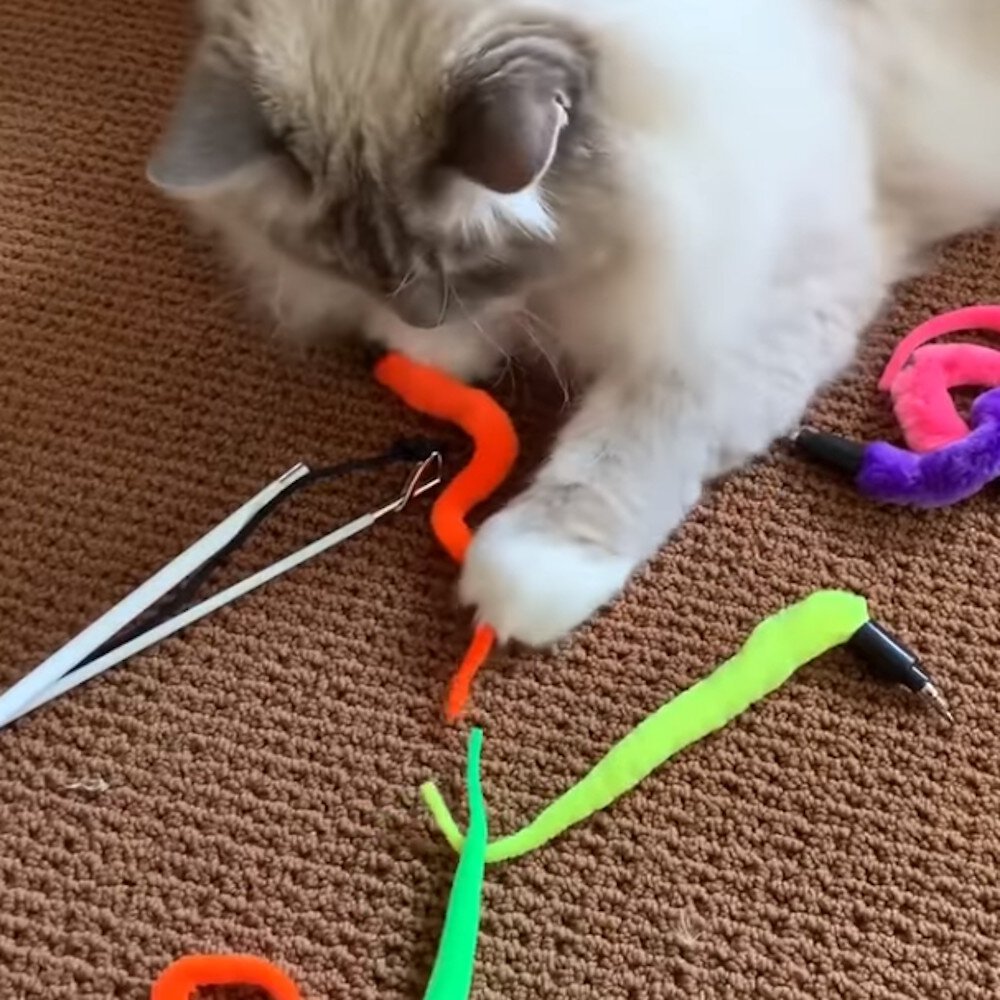 PET FIT FOR LIFE 5 Piece Squiggly Worm Wand Cat Toy
