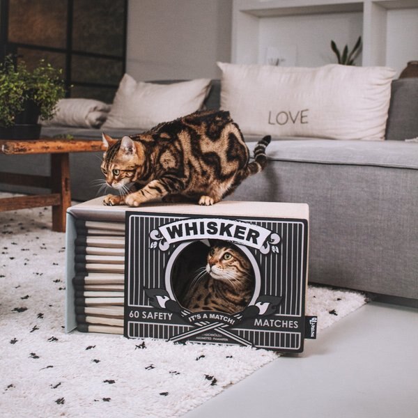 District 70 Bobby Snuffelbal Roze online kopen