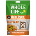 Whole Life Living Treats Healthy Gut Pumpkin Flavor Freeze-Dried Dog Treats, 3-oz bag
