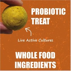 Whole Life Living Treats Pumpkin Flavor Freeze-Dried Dog Treats, 3-oz bag slide 2 of 5
