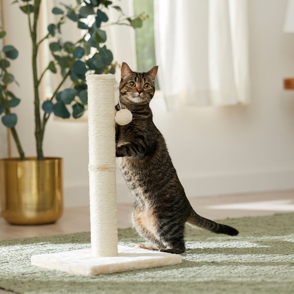 FRISCO 21-in Sisal Cat Scratching Post with Toy, Cream, 1 count - Chewy.com