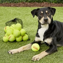 Tourna Pressureless Tennis Balls Dog Toy, 18 count slide 2 of 4