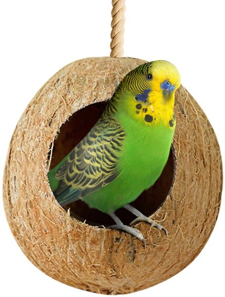 SunGrow Finch & Budgie Coconut Shell Breeding Nest & Seed Storage Bird House slide 1 of 3