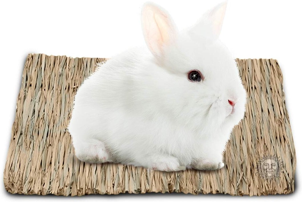 Grass Mat for Rabbits Small Animal Hamster Gerbil Cage Mat Size S/L 