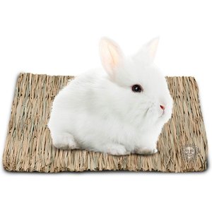 SunGrow Natural Grass Chew Mat & Hay Bedding Cage Rabbit, Guinea Pig, & Small Pet Accessories, 1 count