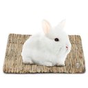 SunGrow Natural Grass Chew Mat & Hay Bedding Cage Rabbit, Guinea Pig, & Small Pet Accessories, 1 count