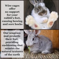 SunGrow Natural Grass Chew Mat & Hay Bedding Cage Rabbit, Guinea Pig, & Small Pet Accessories, 1 count slide 2 of 5