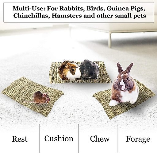 SunGrow Natural Grass Chew Mat & Hay Bedding Cage Rabbit, Guinea Pig, & Small Pet Accessories, 1 count