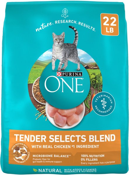 Purina ONE Tender Selects Blend with Real Chicken Dry Cat Food, 22-lb bag slide 1 of 12