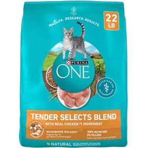 Purina ONE Tender Selects Blend with Real Chicken Dry Cat Food, 22-lb bag