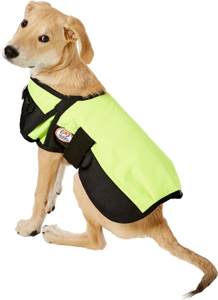 Derby Originals 600D Waterproof Dog Blanket Coat, Lime Green/Black, 13.5-in slide 1 of 10