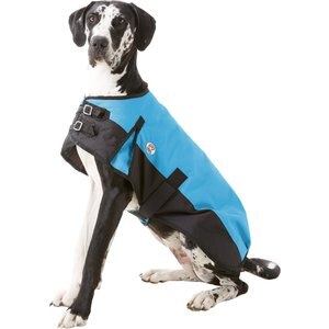 Derby Originals 600D Waterproof Dog Blanket Coat, Hurricane Blue/Black, 28.5-in