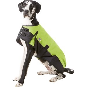 Derby Originals 600D Waterproof Dog Blanket Coat, Lime Green/Black, 28.5-in
