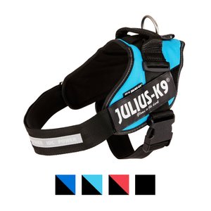 Julius-K9 IDC Powerharness Nylon Reflective No Pull Dog Harness, Aquamarine, Size 1: 26 to 33.5-in chest