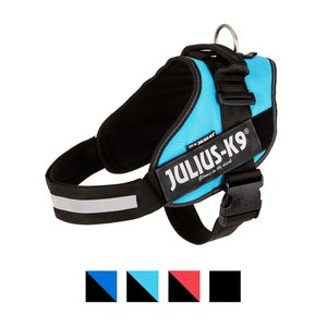 Julius-K9 IDC Powerharness Nylon Reflective No Pull Dog Harness, Aquamarine, Size 2: 28 to 37.5-in chest