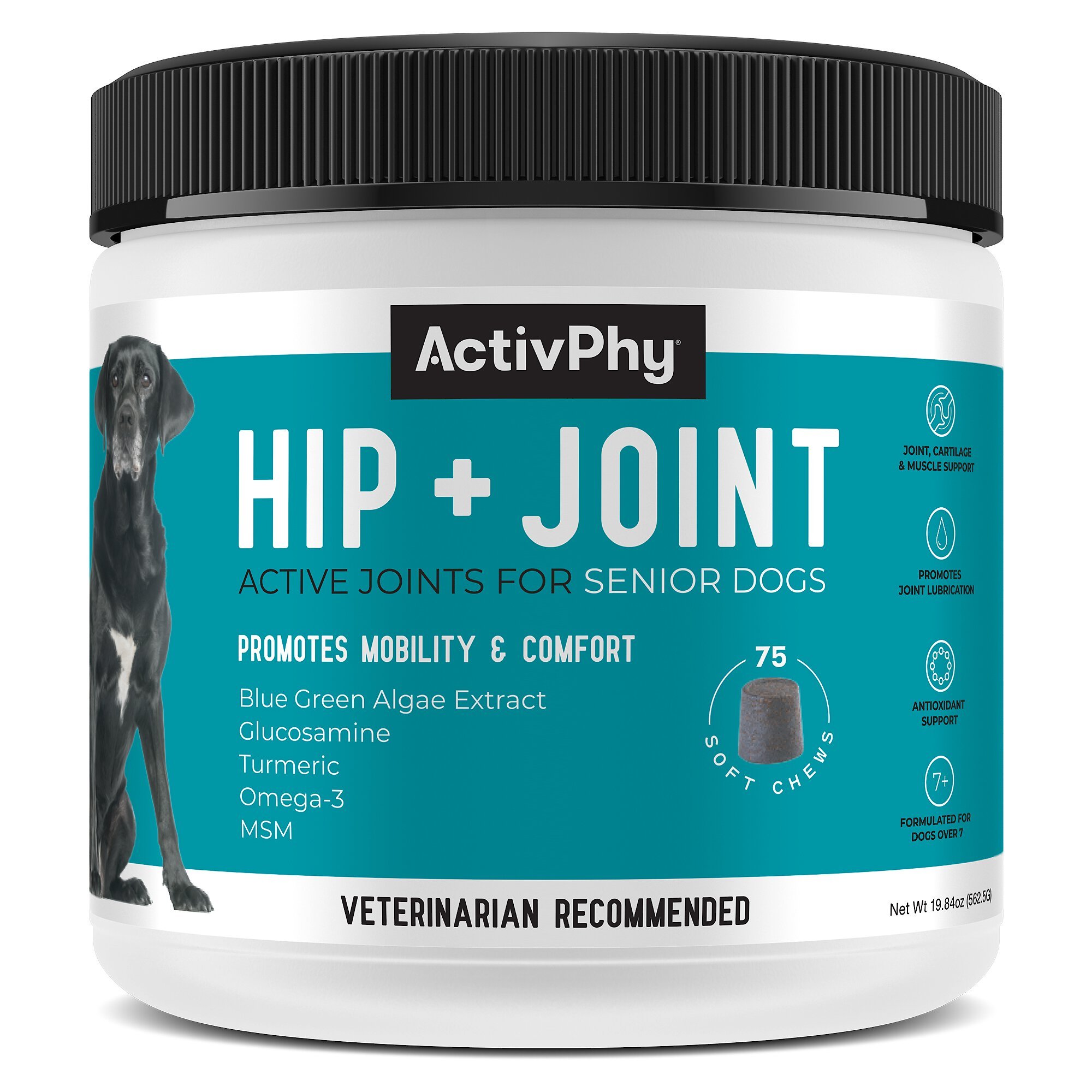 Genuine Naturals Hip + Joint Soft Chews Dog Supplement