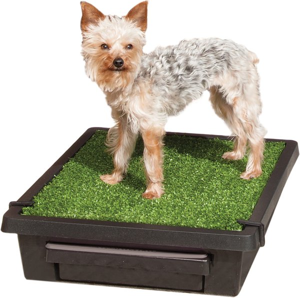 PetSafe Pet Loo Portable Indoor & Outdoor Dog Potty, Small slide 1 of 12