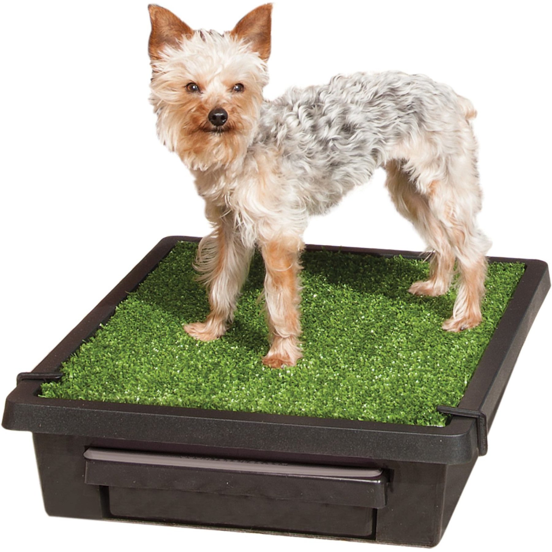 Hompet Dog Toilet Indoor Puppy Training Pad, Dog Potty Pet Training Grass  Mat, Removable Waste Tray for Easier Clean Up, Artificial Turf, 25×20