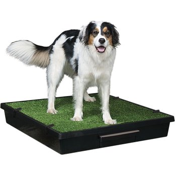 PetSafe Pet Loo Portable Indoor and Outdoor Dog Potty