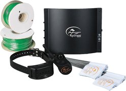 SportDOG Contain + Train System