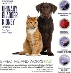 Animal Nutritional Products UroMAXX Urinary, Kidney & Bladder Dog & Cat Supplement, 6-oz bottle slide 2 of 9