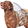 Waterpik Pet Wand Pro Dog Shower Attachment, 2.5 GPM