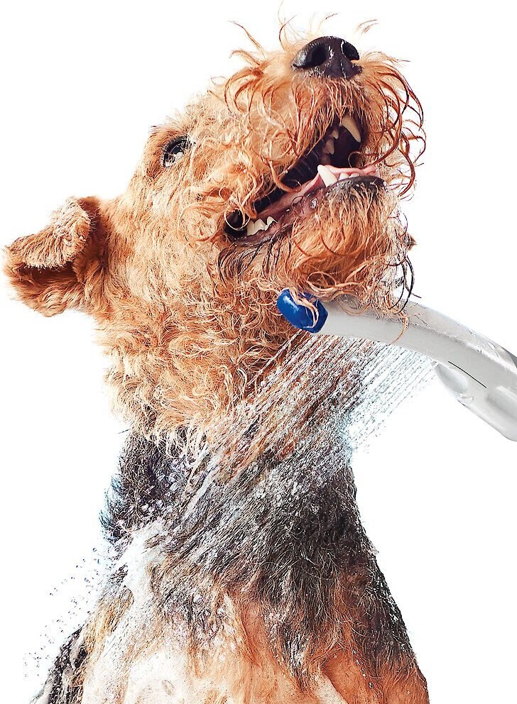 WATERPIK PES142 Pet Wand Dog Shower Attachment