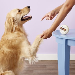 Dermoscent BioBalm Skin Repairing Dog Balm, 1.67-oz jar
