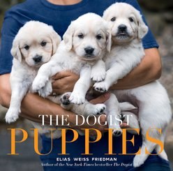 The Dogist Puppies slide 1 of 8