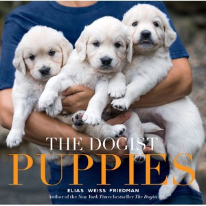 The Dogist Puppies