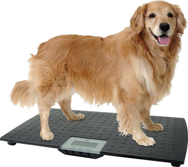 Redmon Precision Digital Pet Scale, Large slide 1 of 5
