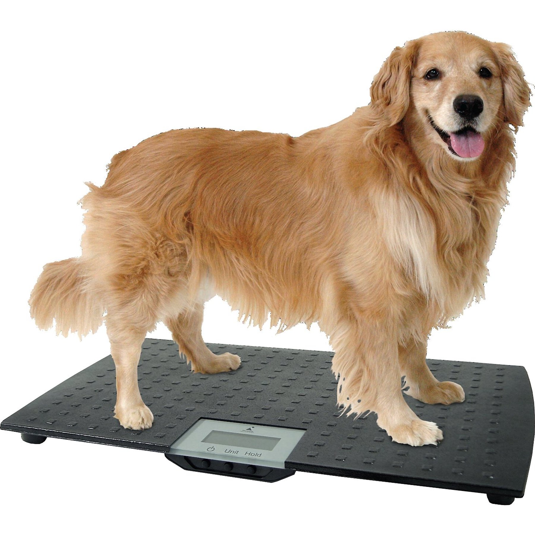 Pet Scales Large Pet Vet Scale Veterinary Pets Scale - China Pet Scale, Pet  Weight Scale