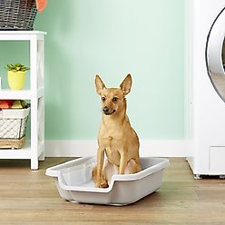 Puppy Pan Dog, Cat & Small Animal Litter Pan, Gray, Small