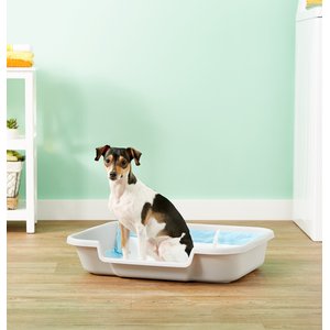 Puppy Pan Dog, Cat & Small Animal Litter Pan, Gray, Large