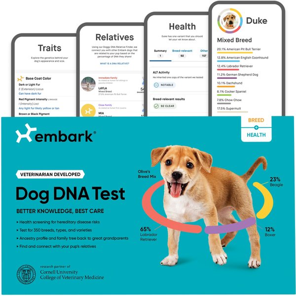 Embark Breed Identification & Health Condition Identification DNA Test for Dogs slide 1 of 10