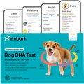 Embark Breed Identification & Health Condition Identification DNA Test for Dogs