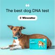 EMBARK Breed & Health Dog DNA Test Kit - Chewy.com