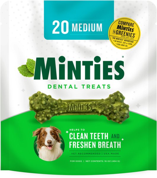 VetIQ Minties Medium/Large Dental Dog Treats, 20 count slide 1 of 6