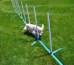 Cool Runners Agility Dog Training Weave Poles slide 2 of 4