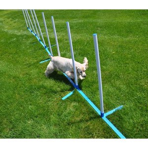 Cool Runners Agility Dog Training Weave Poles
