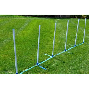 Cool Runners Agility Dog Training Weave Poles