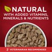 Show in main carousel: Purina ONE SmartBlend True Instinct Tender Cuts in Gravy with Real Beef & Wild-Caught Salmon Canned Dog Food, 13-oz, case of 12 slide 2 of 11