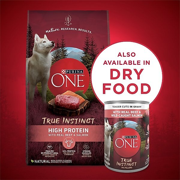 Show full view: Purina ONE SmartBlend True Instinct Tender Cuts in Gravy with Real Beef & Wild-Caught Salmon Canned Dog Food, 13-oz, case of 12 slide 7 of 11