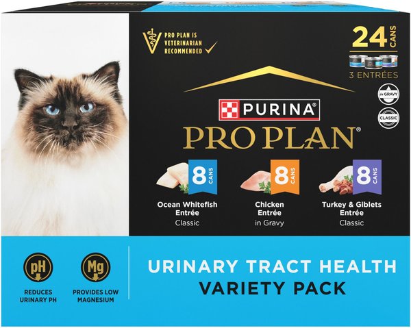 Urinary tract store wet cat food