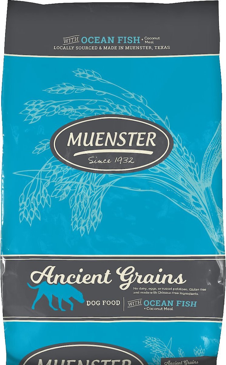 muenster dog food chewy